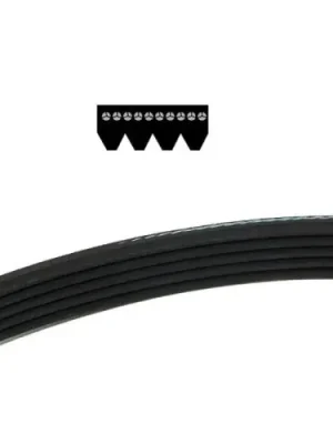 řemen 4 PJ 330 Autentický