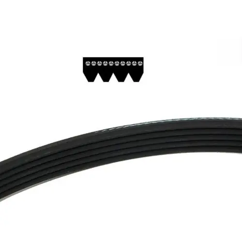 řemen 4 PJ 330 Autentický