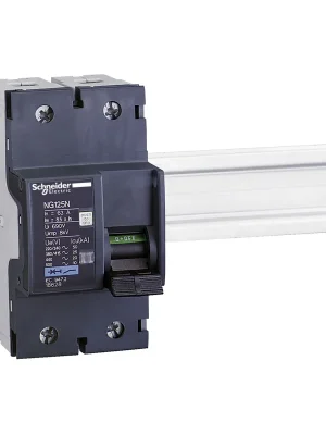 Akční Cena SCHNEIDER Deon NG125N 80A/2P/C 18629 25kA